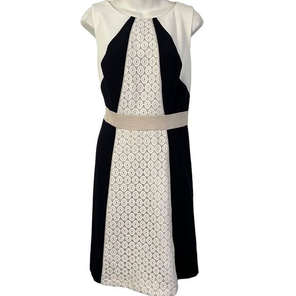 DB Established 1962 Dress Barn Womens Lace Sheath Knee Length Dress NWT sz 14 - Picture 1 of 16